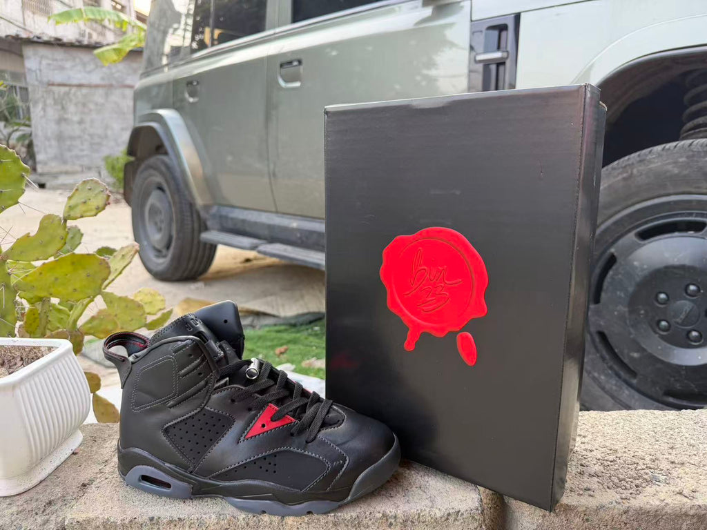 Air Jordan 6 Sneakers | New Colorway