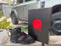 Air Jordan 6 Sneakers | New Colorway