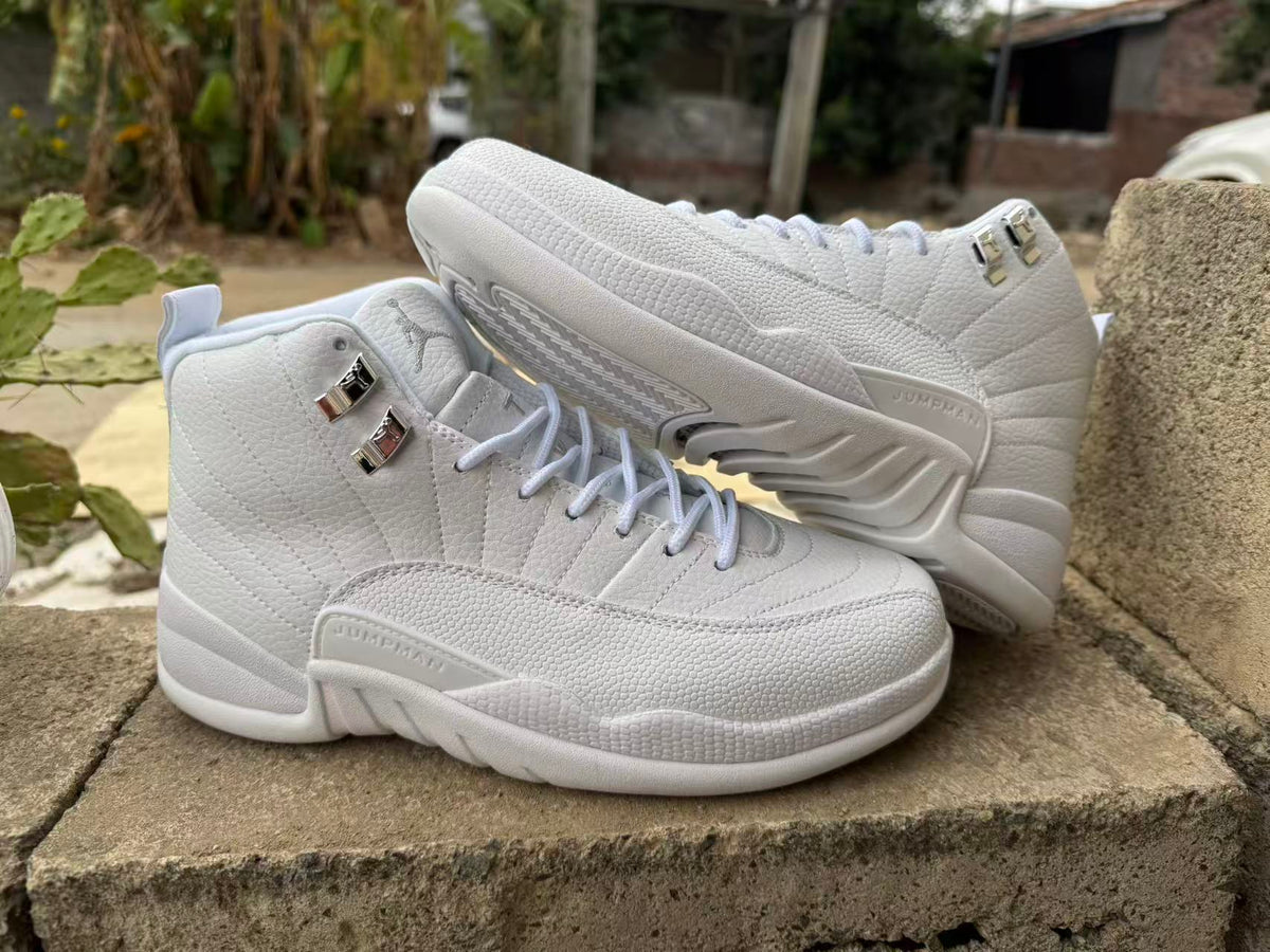 Air Jordan 12 Retro Summit White/Metallic Silver | CT8013-109