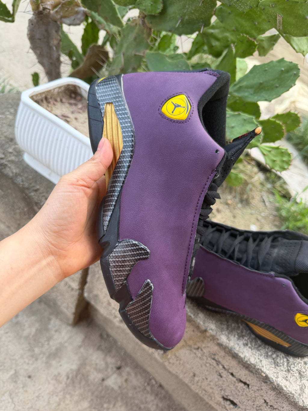 Air Jordan 14 Purple & Black Sneakers