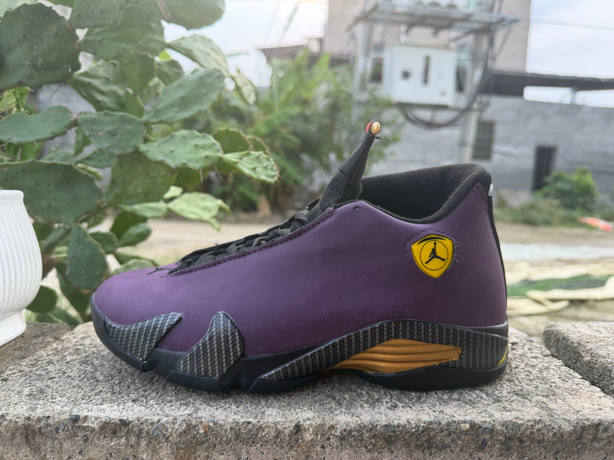 Air Jordan 14 Purple & Black Sneakers