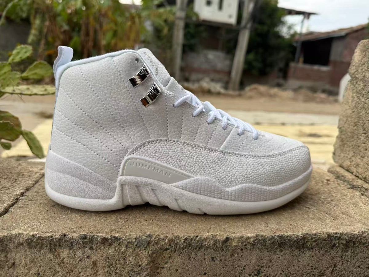 Air Jordan 12 Retro Summit White/Metallic Silver | CT8013-109