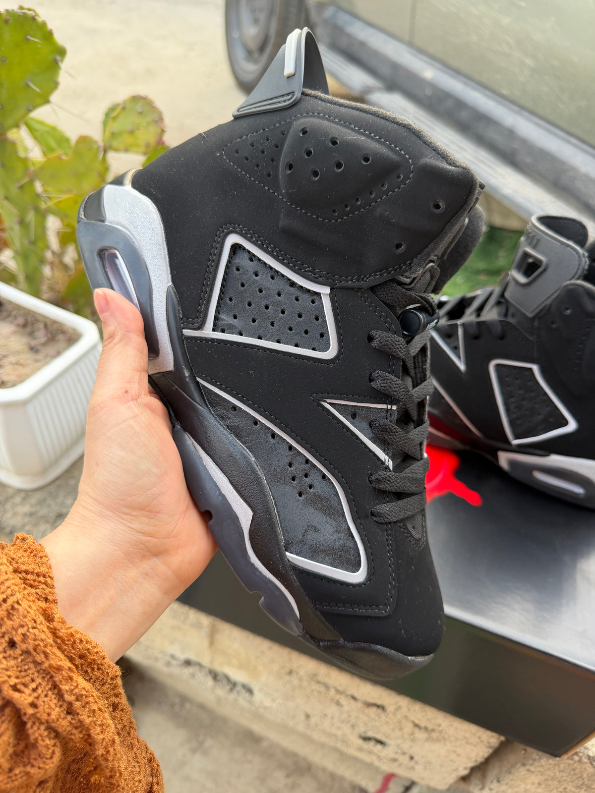 Air Jordan 6 Black & Silver Sneakers