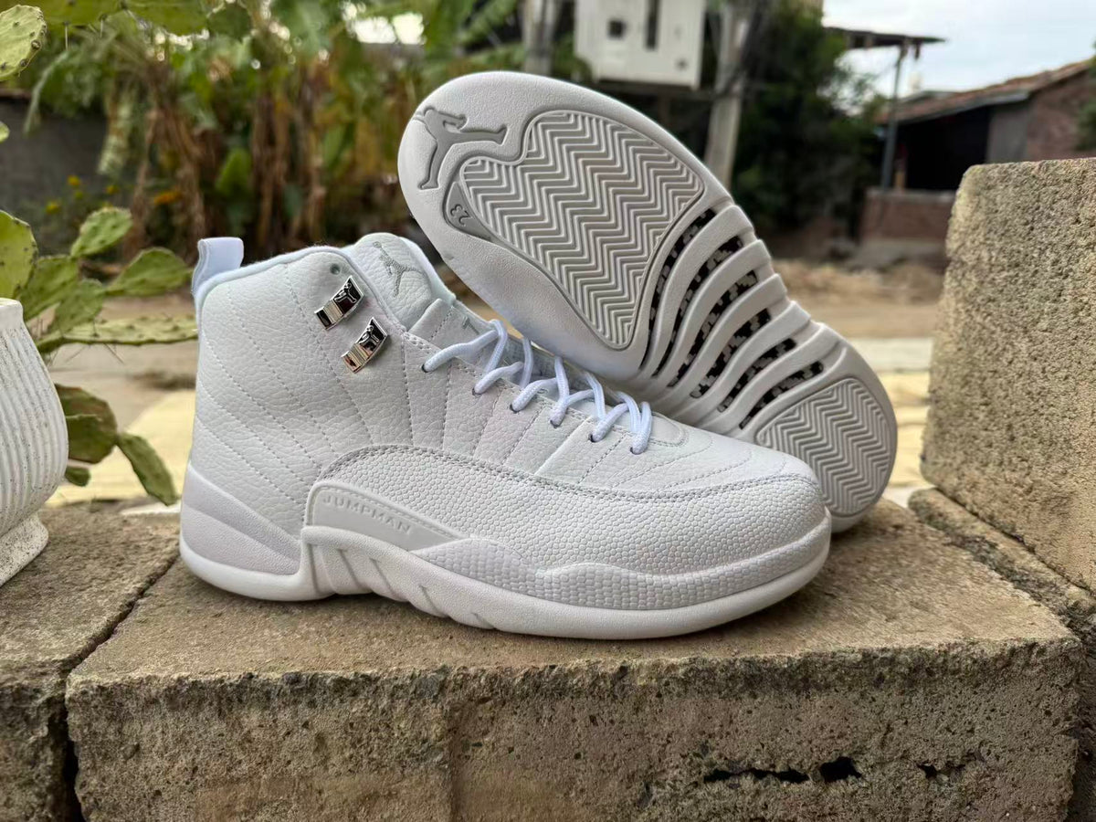 Air Jordan 12 Retro Summit White/Metallic Silver | CT8013-109